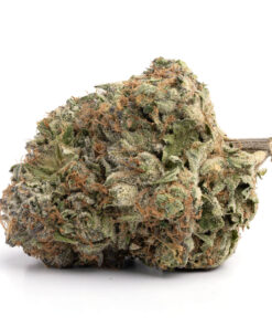 Thin Mint Cookies