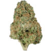 Northern Lights x Big Bud