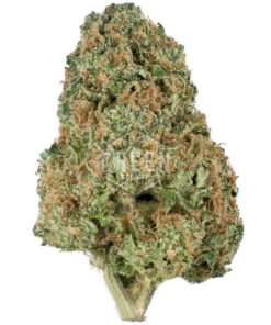 Trainwreck