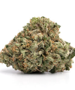 Trap Gas OG