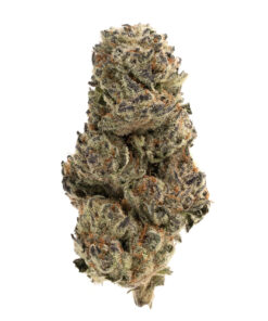 Tropical Smoothie