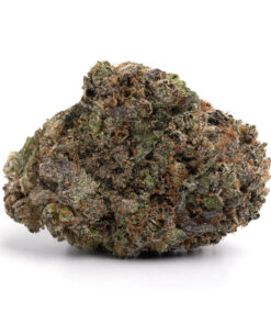 Tropicana Cookies – Sativa