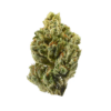 Tropic Thunder – Hybrid — buy online, same-day weed delivery in Toronto | Tropic Exotic