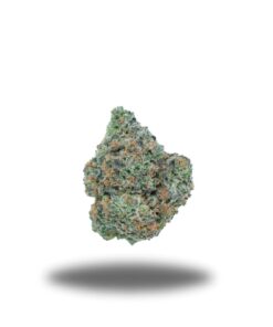Chocolope – Sativa
