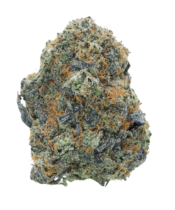 Skywalker – Hybrid
