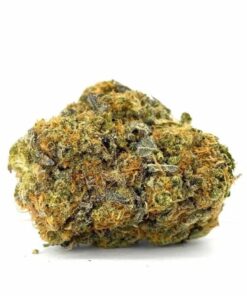 Captain Chronic – Sativa Captain Chronic – Sativa — buy online, same-day weed delivery in Toronto | Tropic Exotic