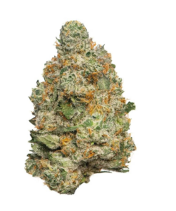 Apple Fritter – Sativa
