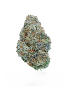 Banana Jack – Hybrid