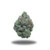 Bubblegum Kush-Indica