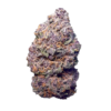 Purple Space Cookies – Hybrid — buy online, same-day weed delivery in Toronto | Tropic Exotic