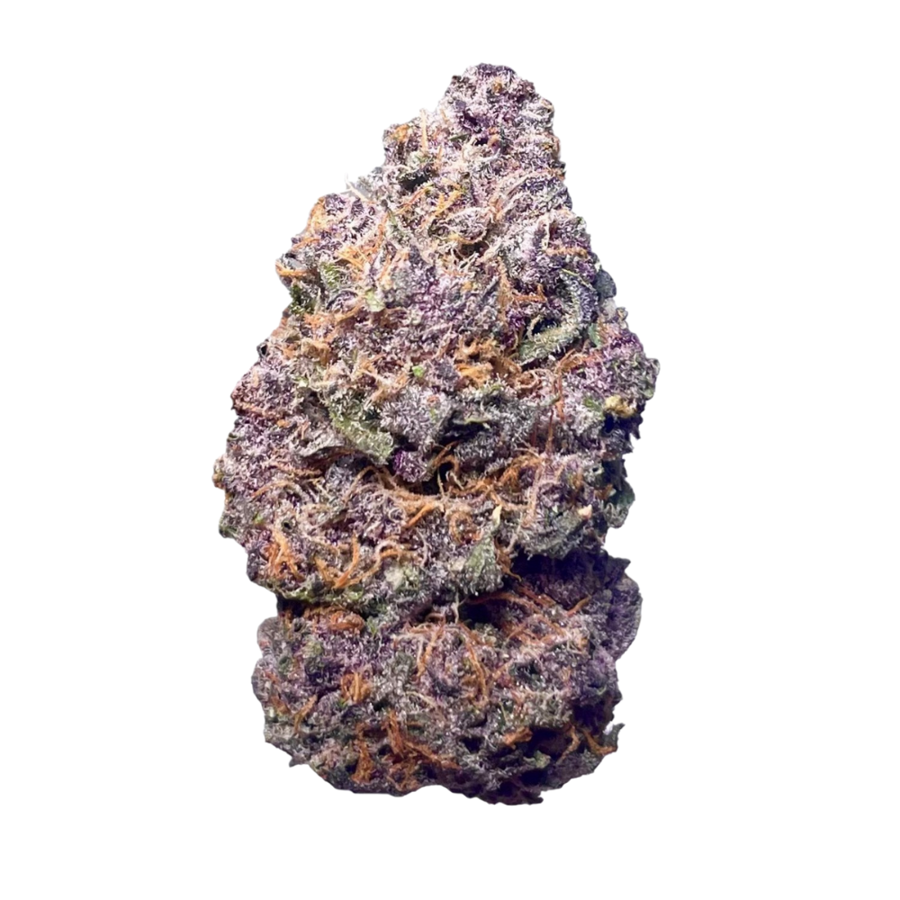 Astro Pink – Indica