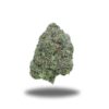 Death Star-Indica