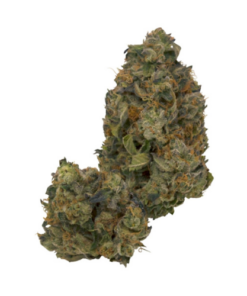 Pink Octane — buy online, same-day weed delivery in Toronto | Tropic Exotic