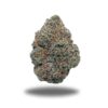Gorilla Glue – Hybrid Gorilla Glue – Hybrid