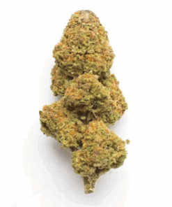 Lemon Punch – Sativa