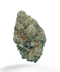 Bruce Banner – Sativa
