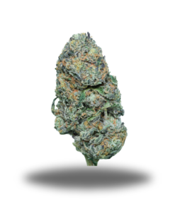 Alaskan Thunder F*ck – Hybrid