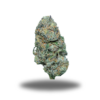 GREEN CRACK – SATIVA