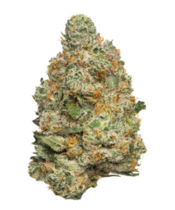 Apple Fritter – Sativa