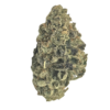 White Widow – Hybrid White Widow – Hybrid