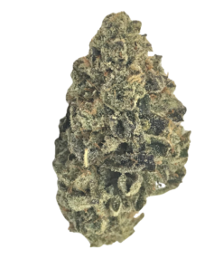 Key Lime Pie – Sativa