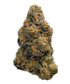Strawberry Daiquiri – Hybrid — buy online, same-day weed delivery in Toronto | Tropic Exotic
