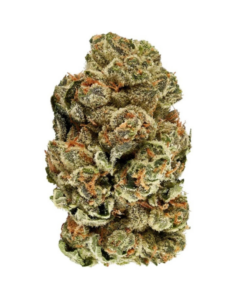 Cookie Kush – Indica BULK