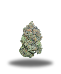 Superman Pink – Indica Bulk