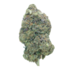 Pink Rockstar – Indica