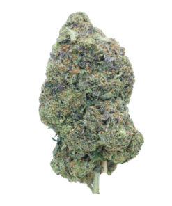 Pink Rockstar – Indica