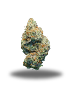 Golden Oreoz