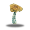 Psilocybin – Tidal Wave AAAA+