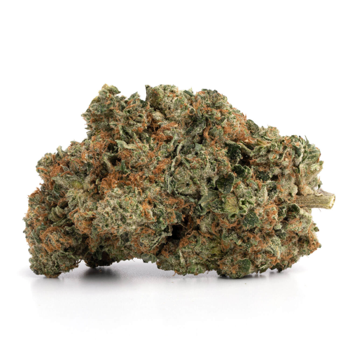 Gas Face – Indica