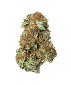 MK Ultra – Indica Limited Special
