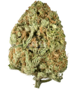 Walter White by Mephisto Genetics