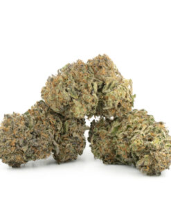 Watermelon Zkittlez