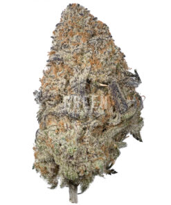 Wedding Crasher by Pluto Craft Cannabis