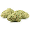 Chocolope Kush
