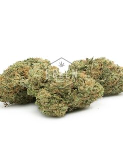 White Cookies