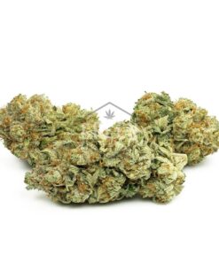 White Widow
