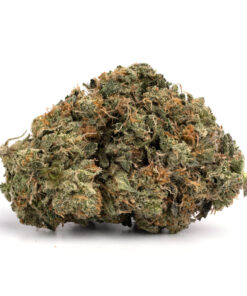 Zombie OG
