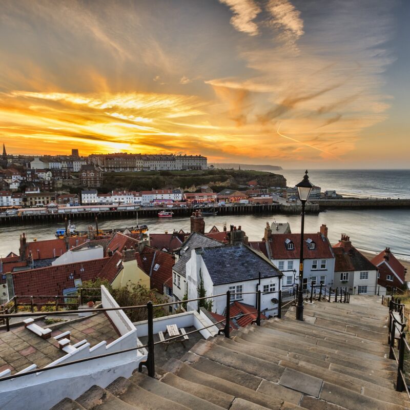 adobestock1006504051 w1280h1280 800x800 - Whitby Weed Delivery