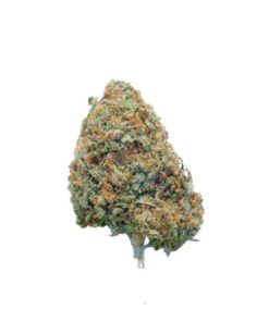 Agent Orange *Hybride*