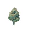 Agent Orange *Hybrid*