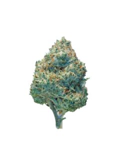 Banana Split *Hybrid*