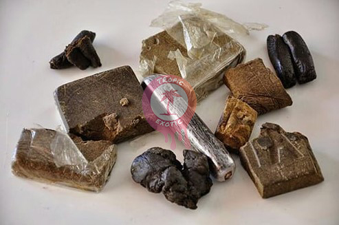 best hash online canada buying hash in canada guide tropic 07 - Best Hash Online Canada: Buying Hash in Canada Guide