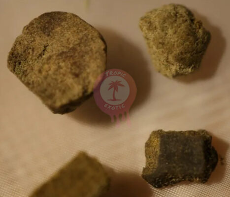 best hash online canada buying hash in canada guide tropic 8 467x400 - Best Hash Online Canada: Buying Hash in Canada Guide