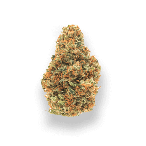 What happened to Black Rabbit? – Tropic Exotic Comparison buy weed online - What happened to Black Rabbit? – Tropic Exotic Comparison