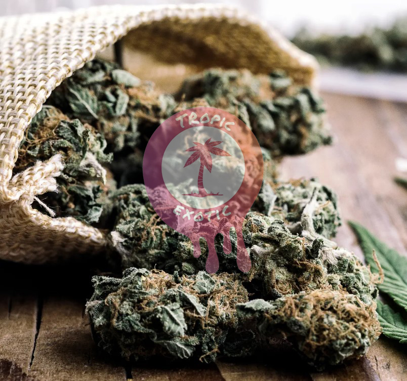 buying cannabis in ontario and alberta valuebuds online dispensary guide 33 - Buying Cannabis in Ontario and Alberta: Valuebuds Online Dispensary Guide