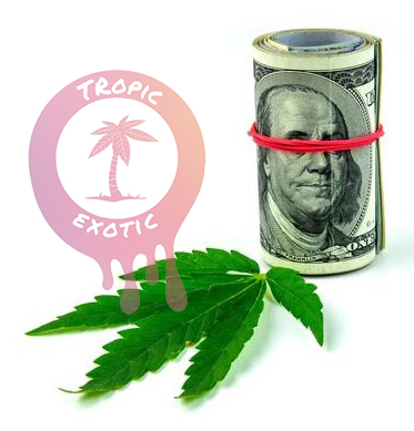 buying cannabis in ontario and alberta valuebuds online dispensary guide 39 2 - Buying Cannabis in Ontario and Alberta: Valuebuds Online Dispensary Guide